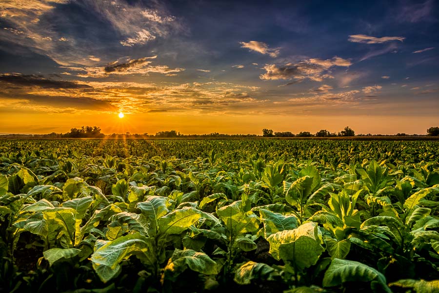 Landscape, Fotografie, Fotograf, Werbung, Kahl Media Design